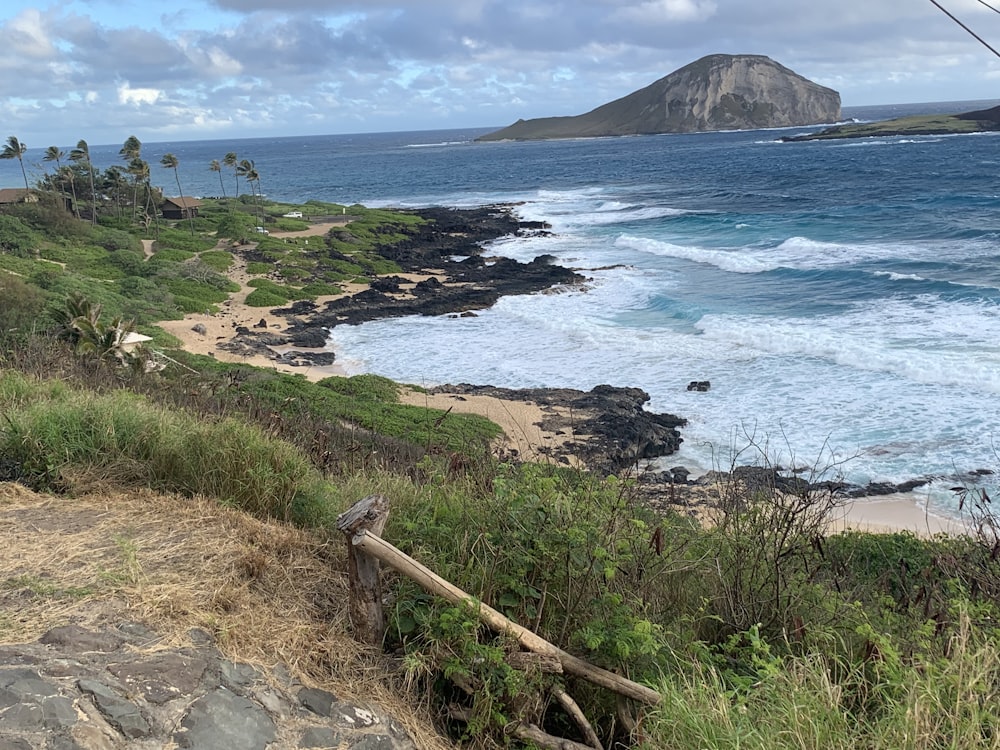 green grass on brown rocky shore during daytime