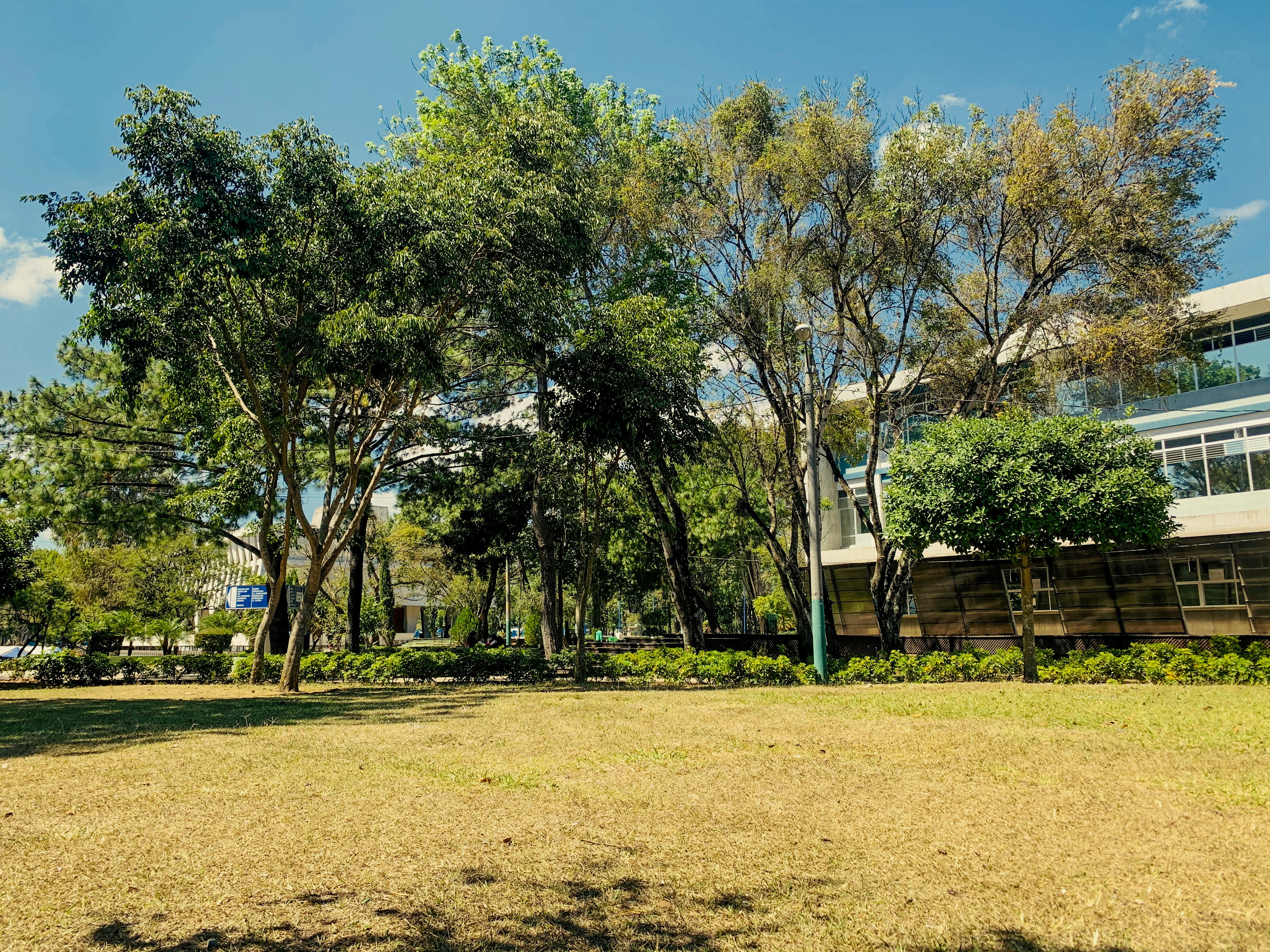 Photo by racheldeleonh