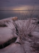 An icy Greenland landscape under a soft morning light, symbolizing enduring natural beauty.