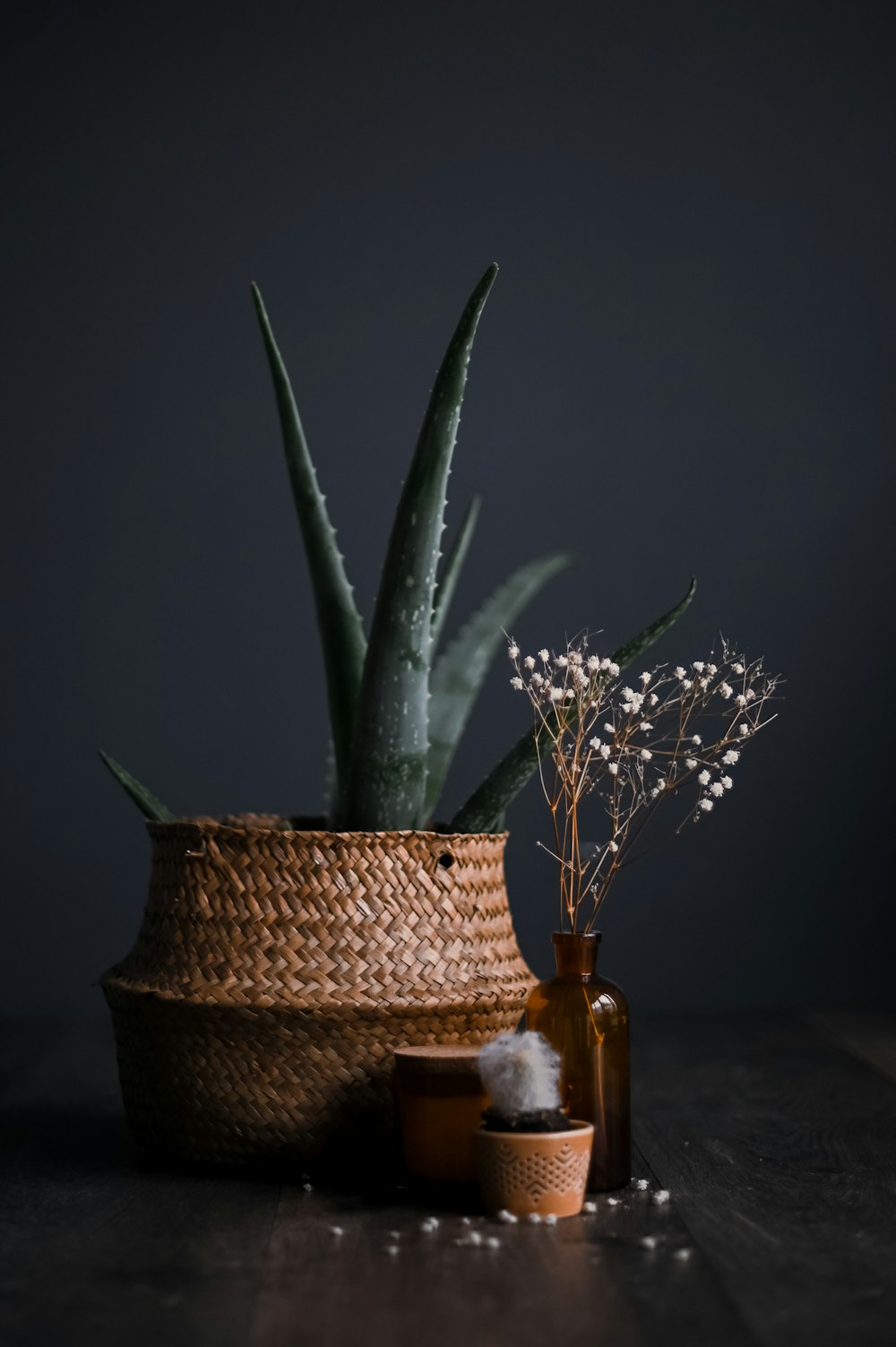 green plant on brown woven pot