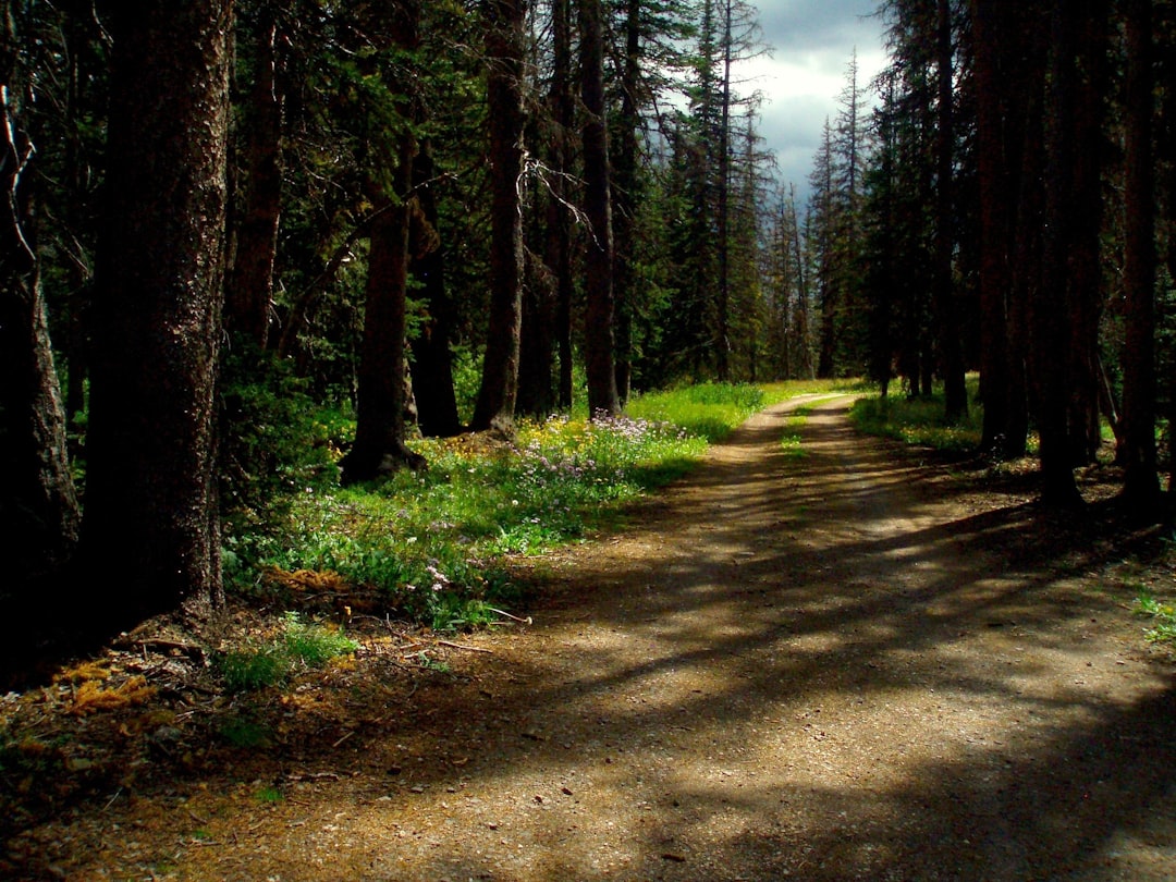 Exploring the Hidden Gems 7 Off-the-Beaten-Path