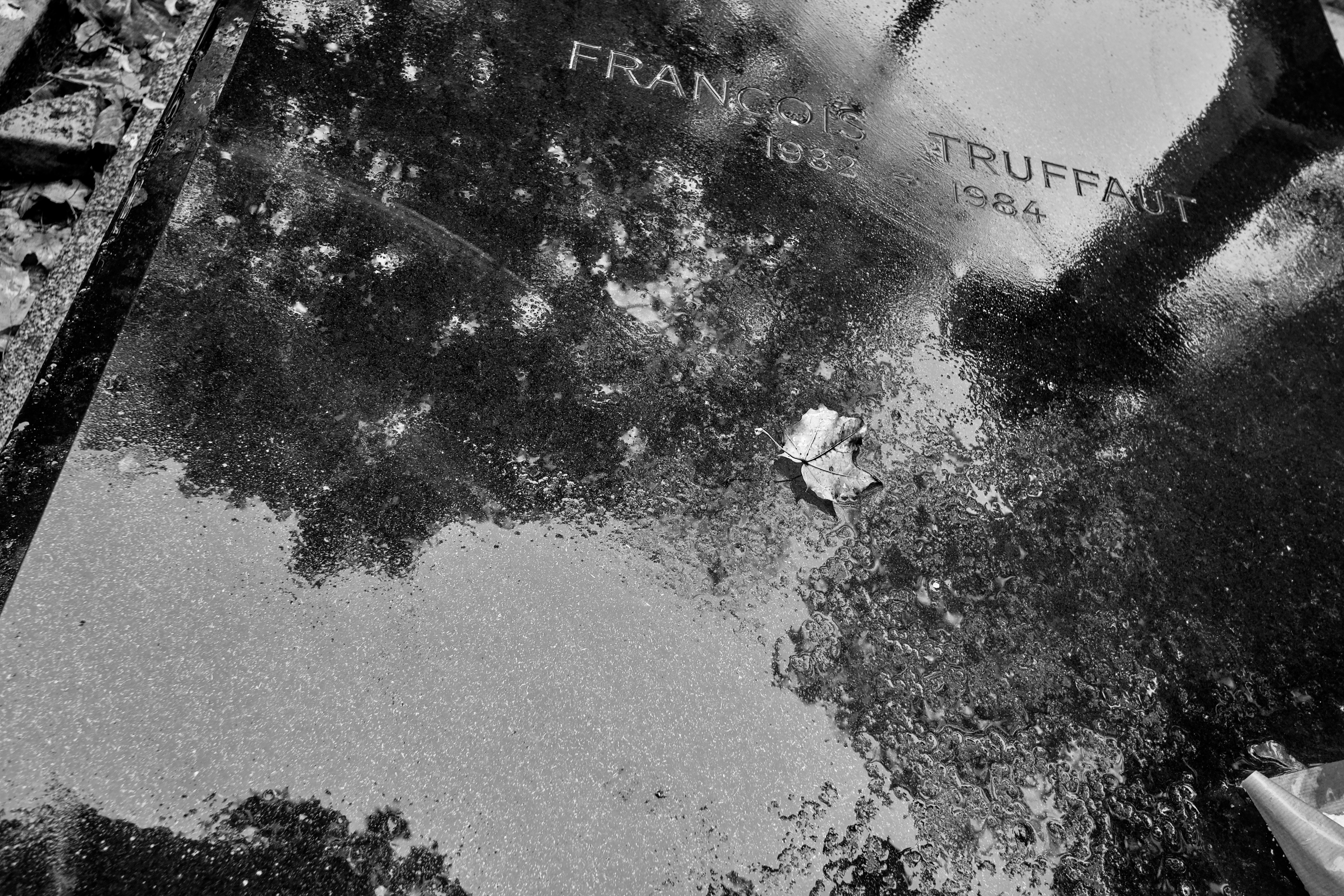 photo-1582145103768-50b13a01f98d كيفية استخراج شهادات الوفاة الرسمية