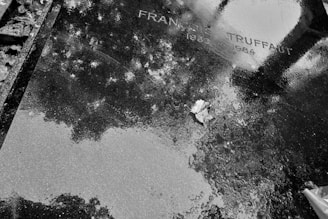 A black and white photograph of a wet grave surface with the name and dates indicating it belongs to someone who lived from 1932 to 1984. One dry leaf is visible on the glossy, reflective surface that also shows the reflection of trees above.