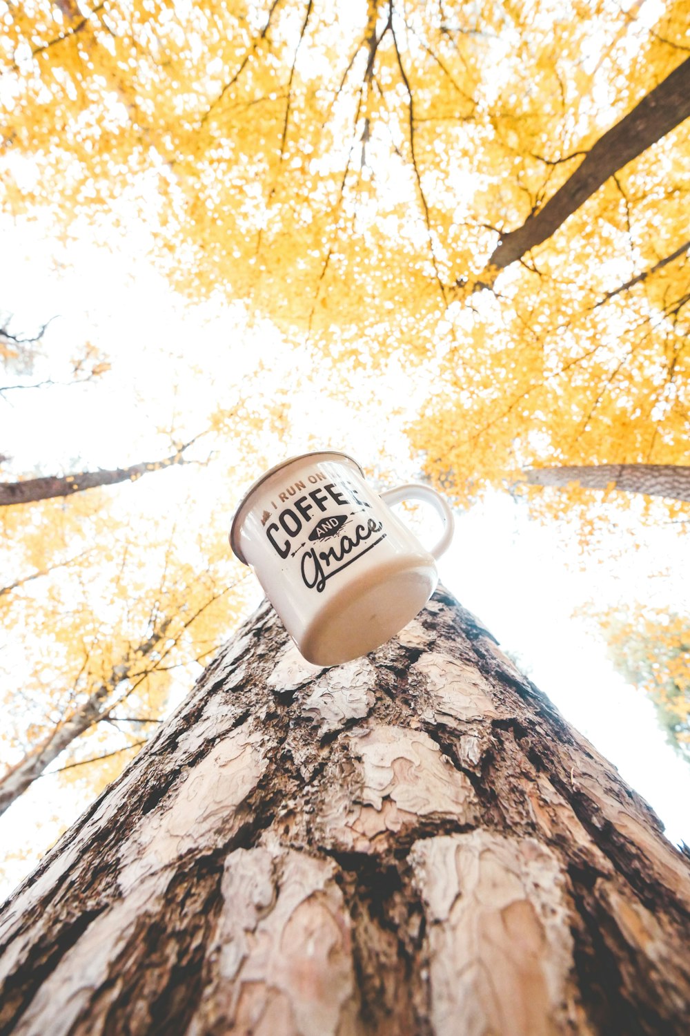 white ceramic mug on brown rock