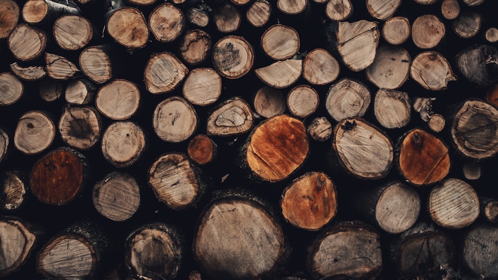 brown and black wood logs
