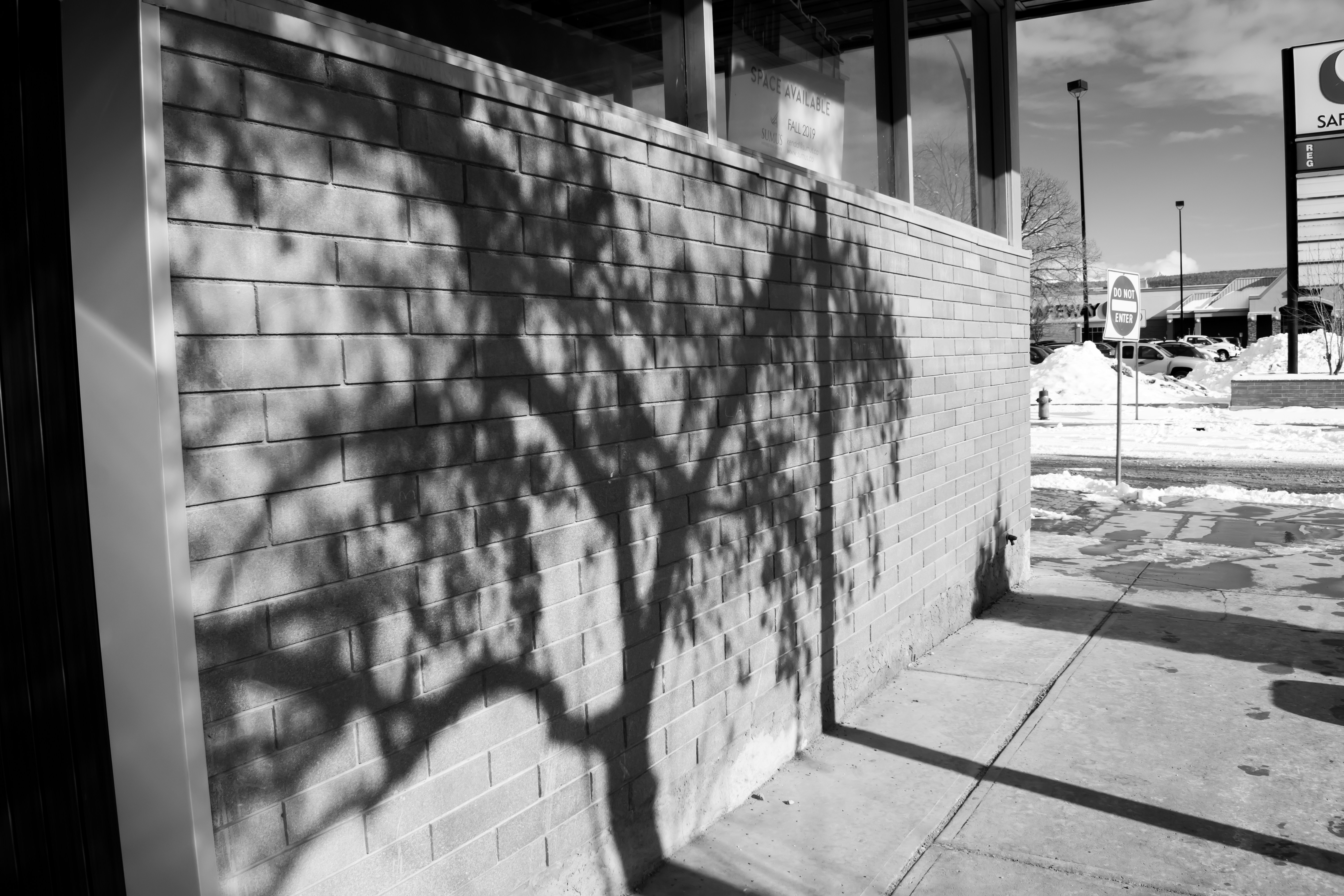 grayscale photo of brick wall
