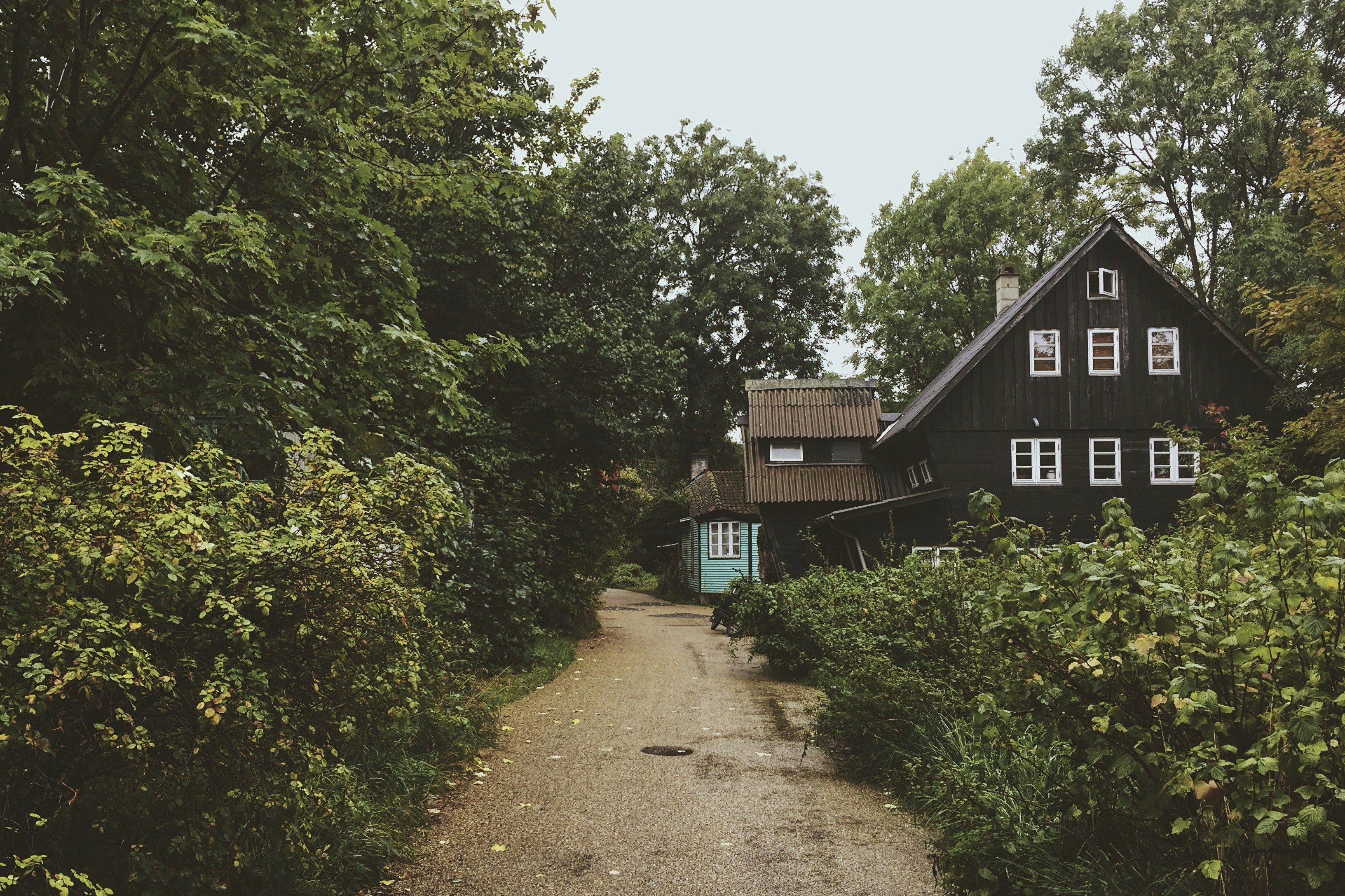 Photo by shanerounce