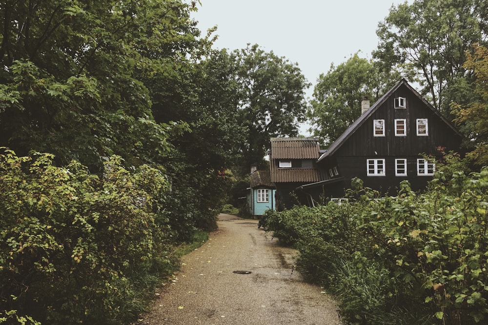 brown wooden house near green trees during daytime