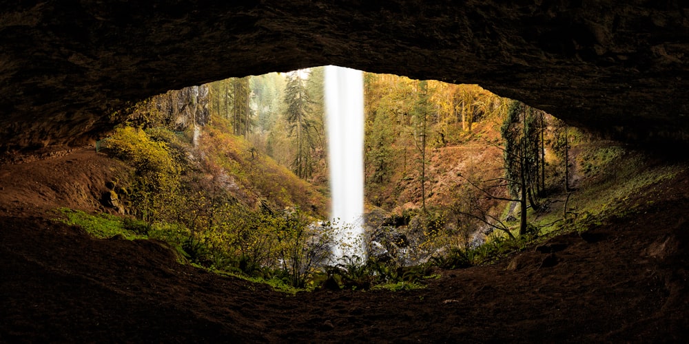 waterfalls in the middle of the forest during daytime