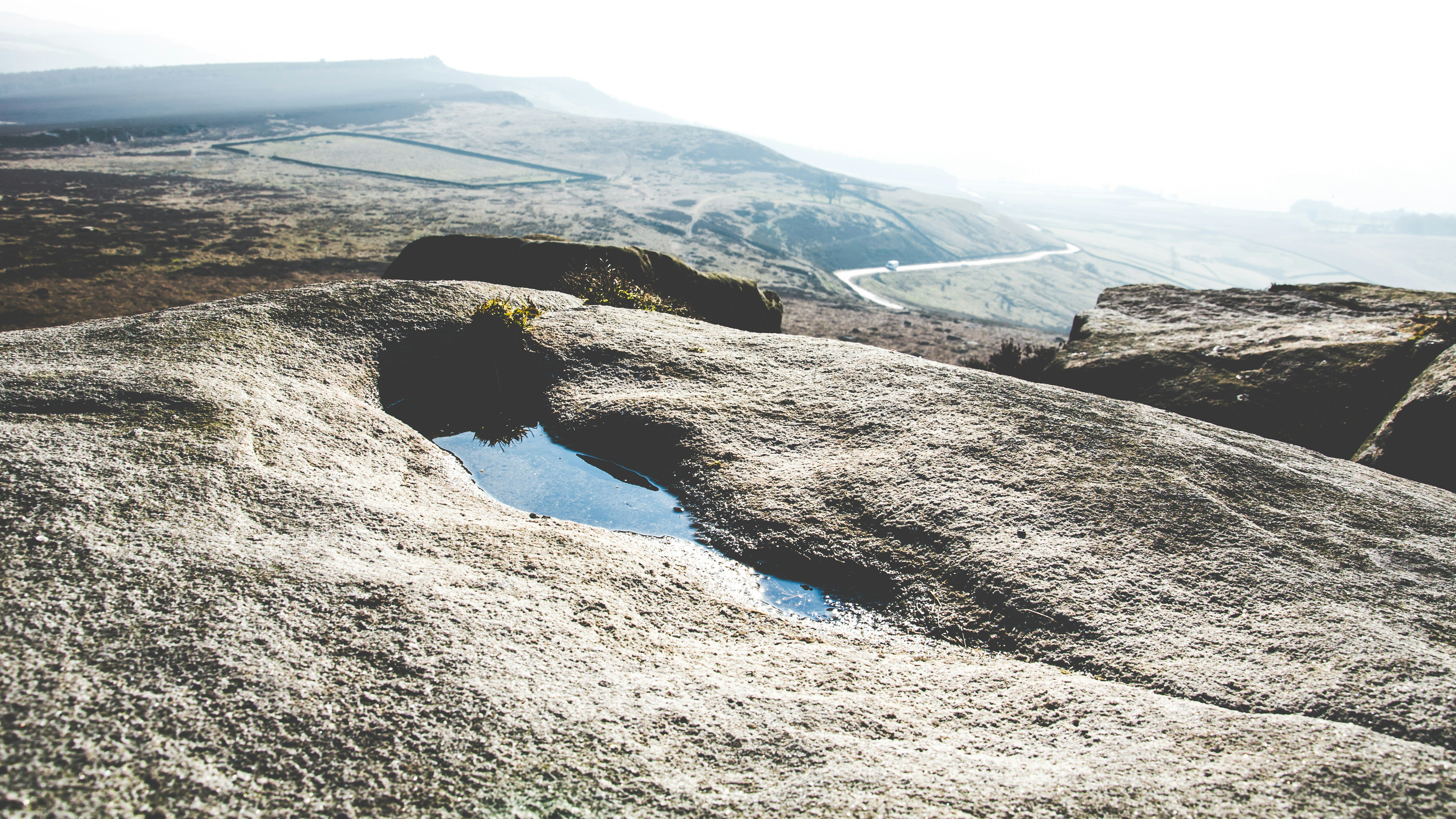 Photo by shanerounce