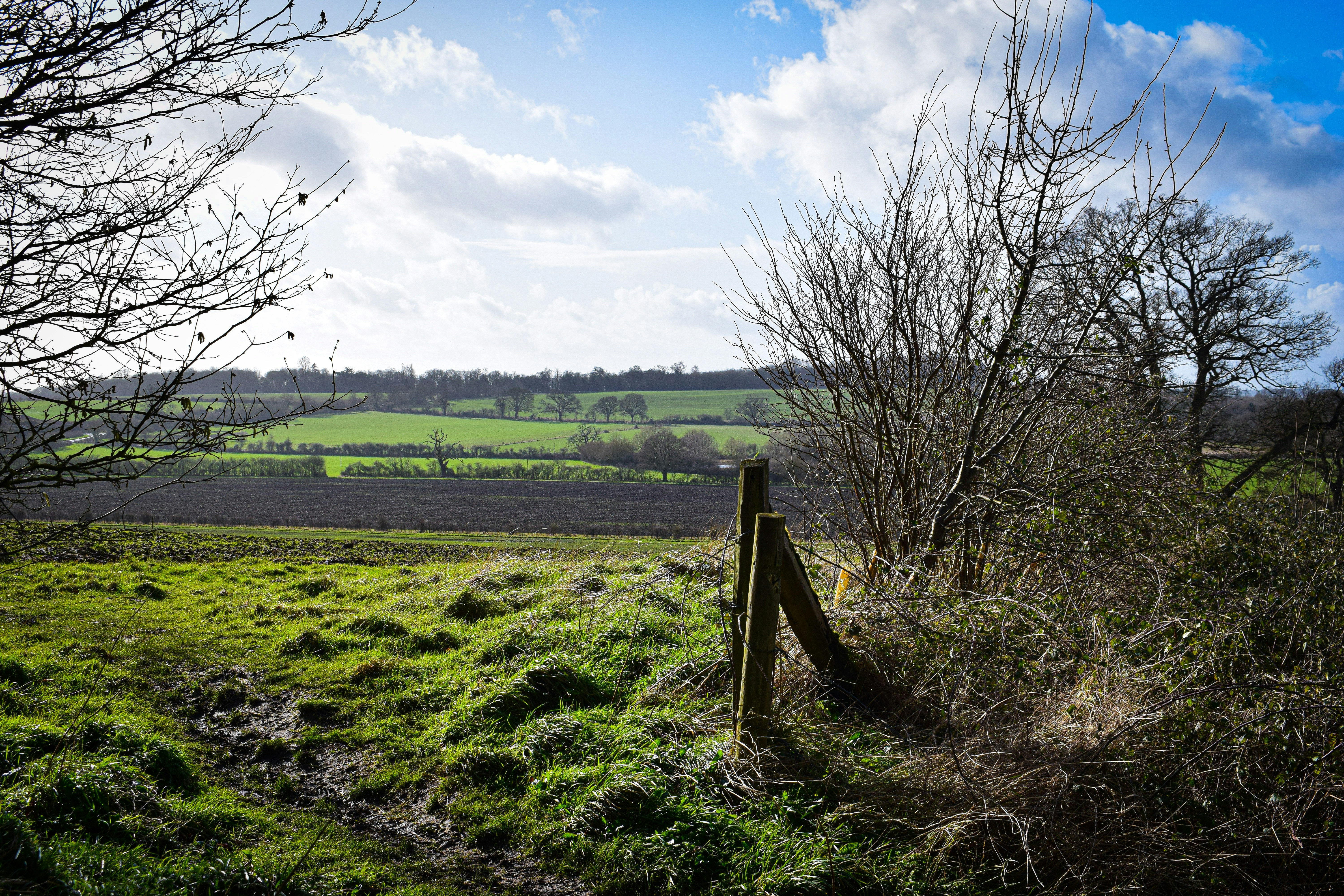 Photo by taylor_cowling_photos