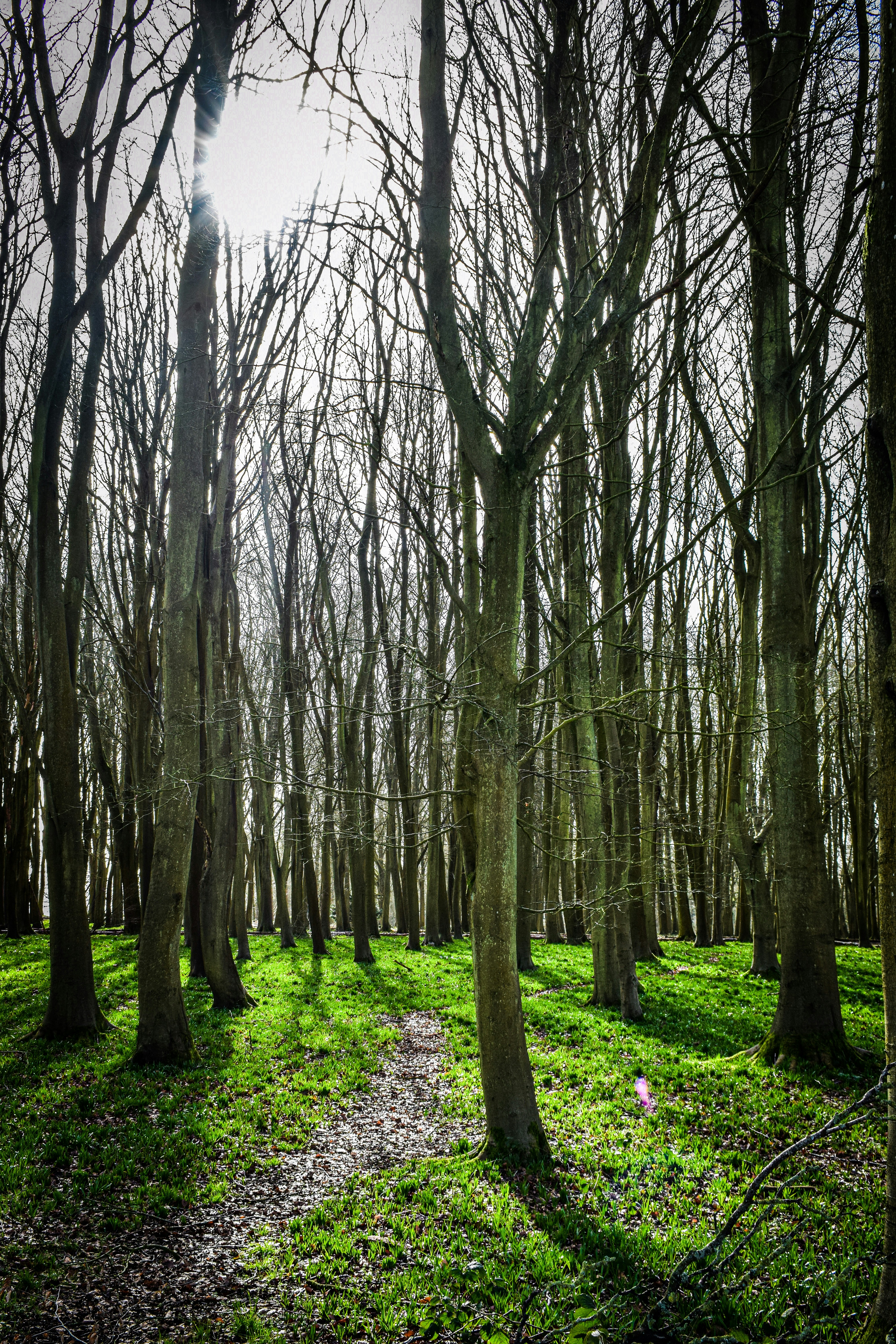 Photo by taylor_cowling_photos