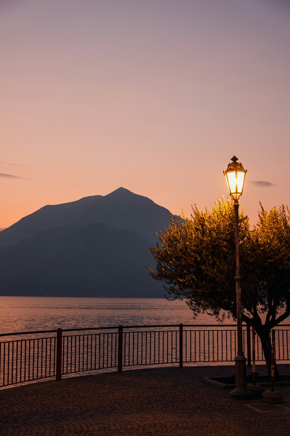 black and white lamp post near body of water during daytime