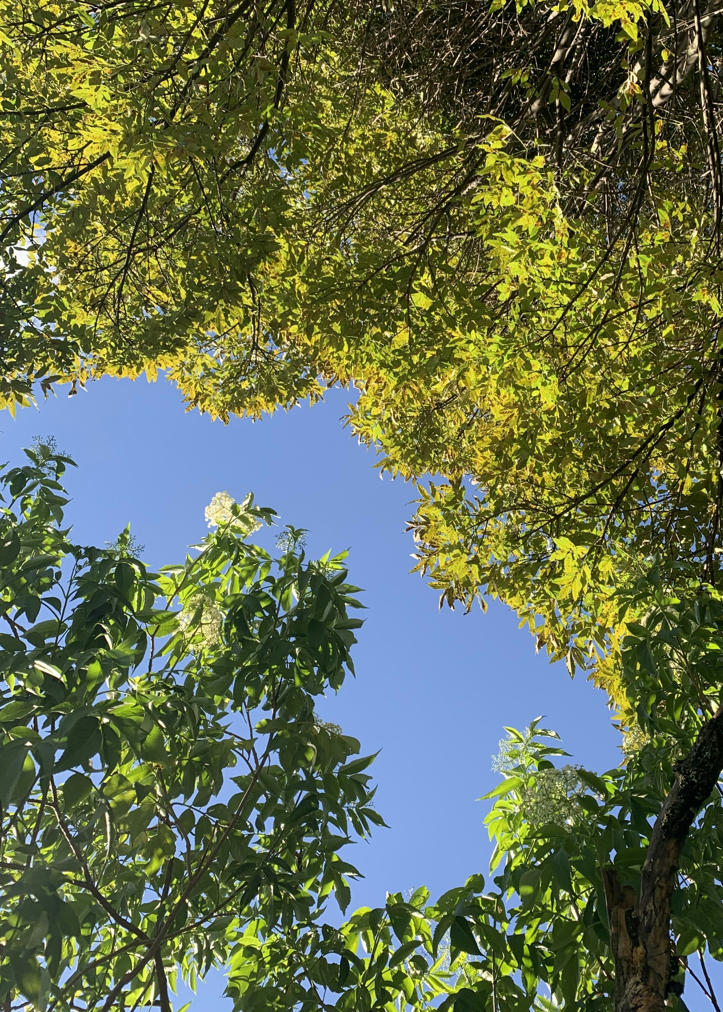 Photo by botodreamer7