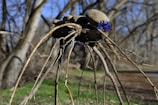 A collection of rocks, sticks, and a purple pom-pom are creatively arranged in a natural outdoor setting with trees in the background. The assembly resembles a small structure or art piece with the rocks balanced on top of the sticks.