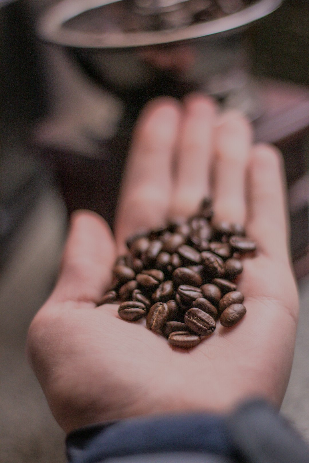 coffee beans on persons hand