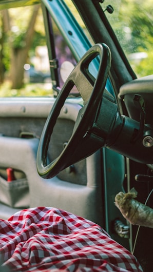 The interior of a vehicle with a focus on the steering wheel. The inside door panel includes a compartment with a red item inside, and a plaid red and white cloth is spread on the seat. Sunlight filters through the windows, creating a bright and relaxing atmosphere.