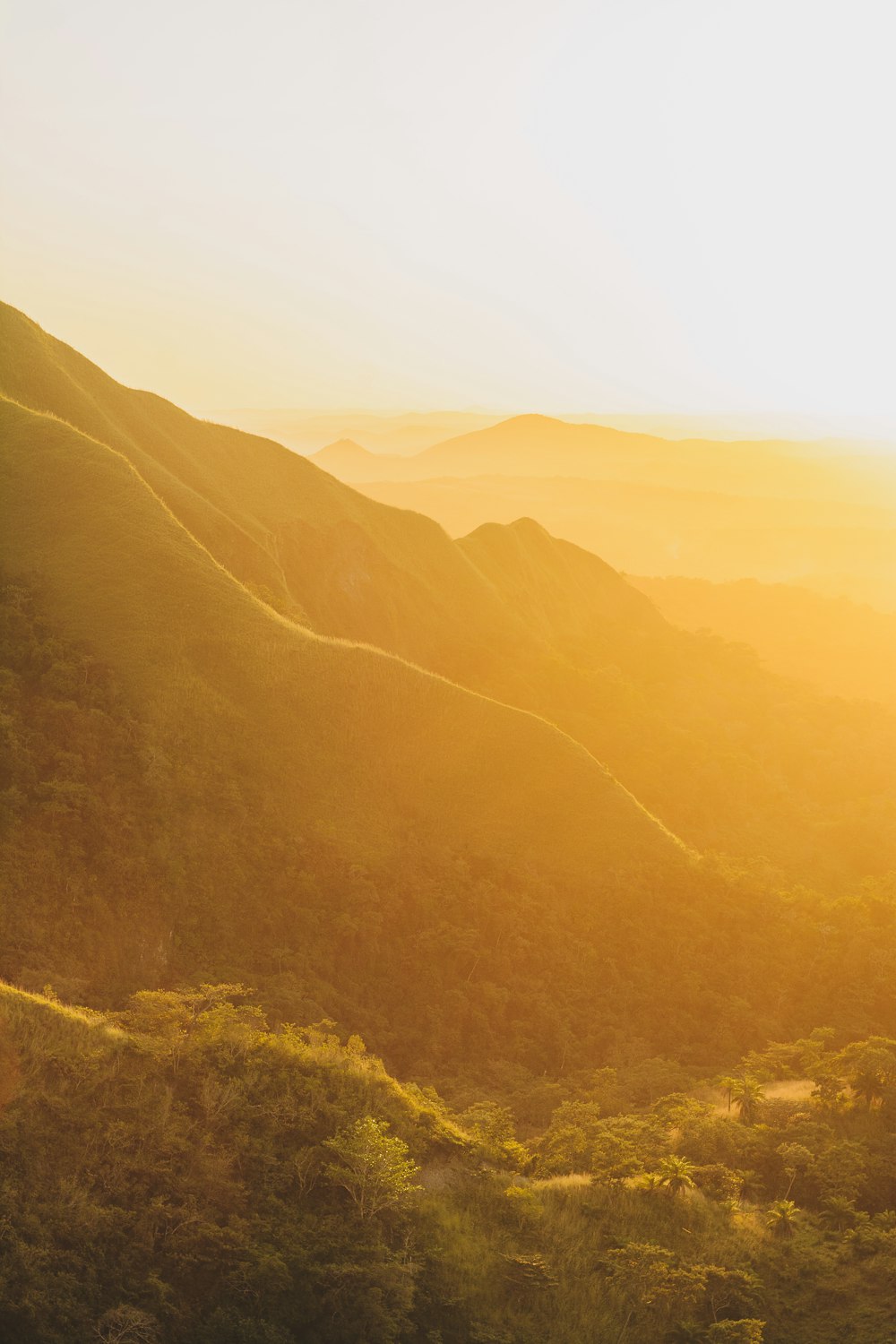 green and brown mountains during daytime