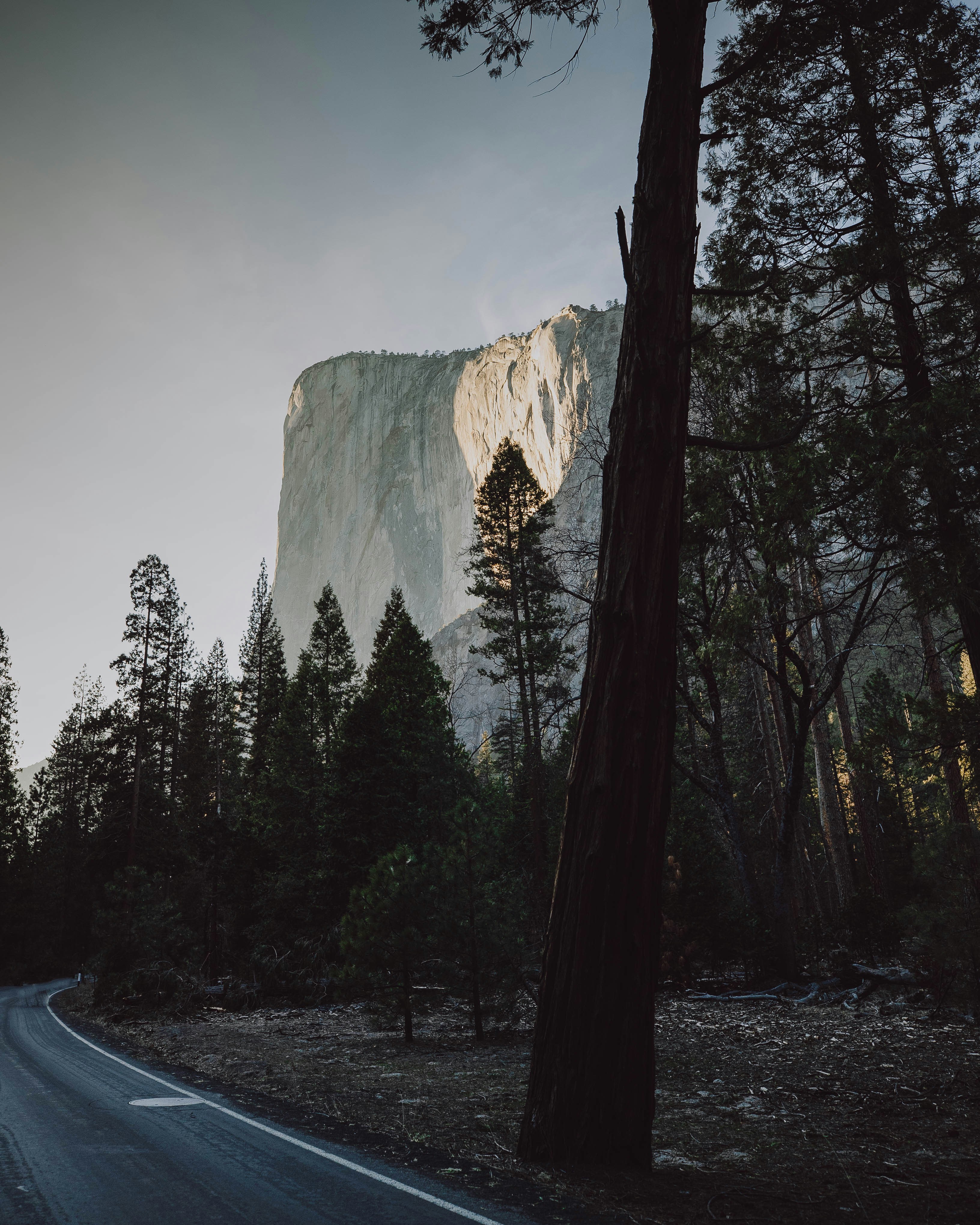 Photo by natejohnston