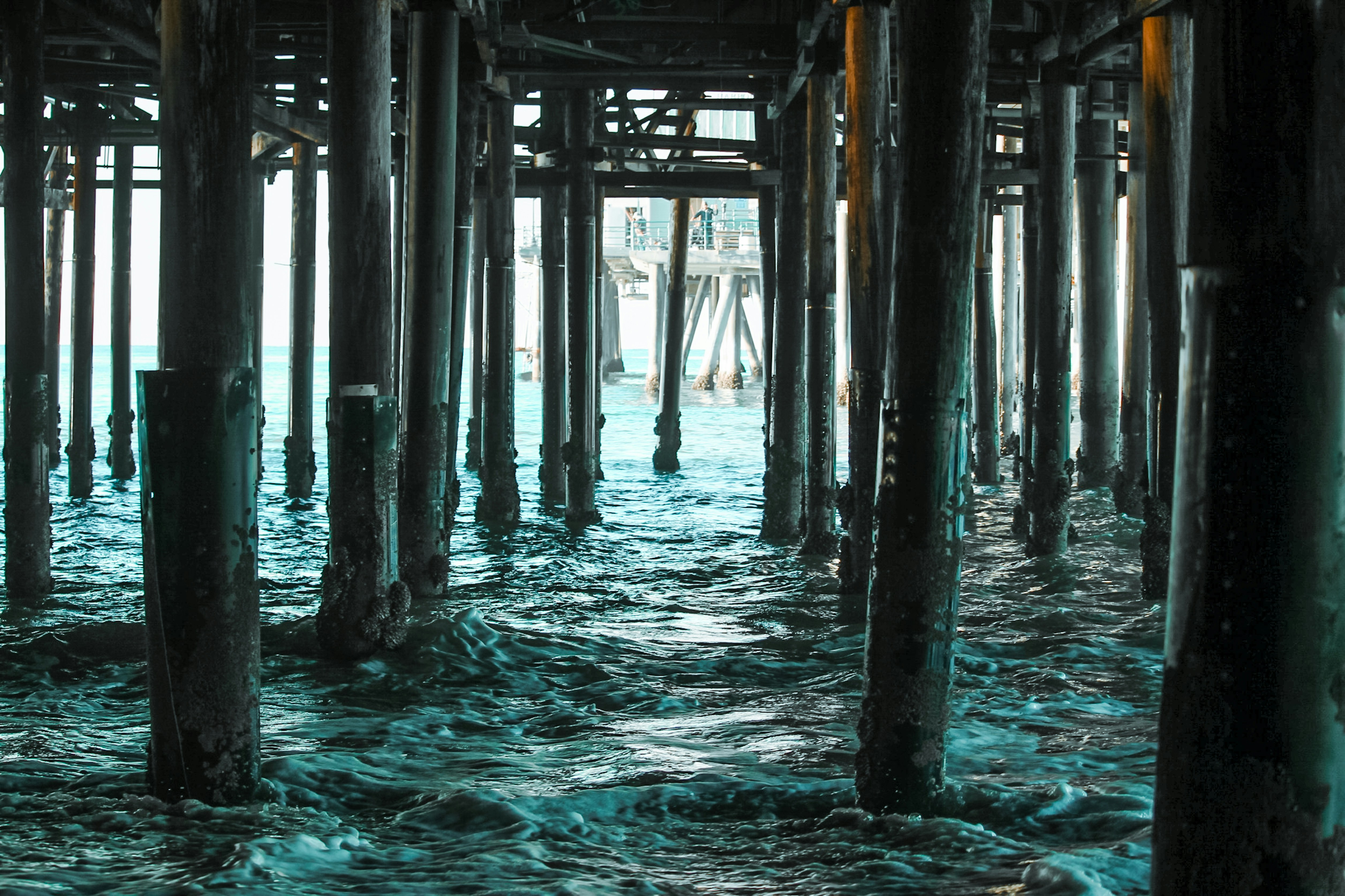 Photo by californong