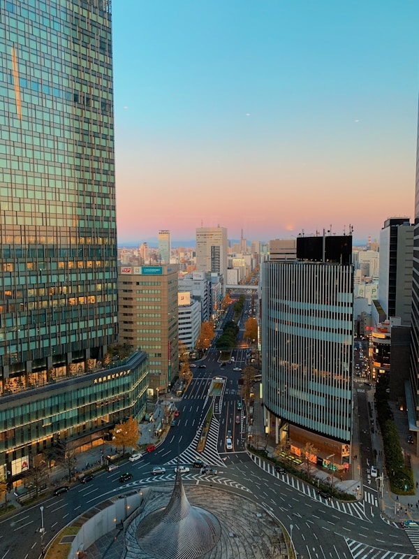Nagoya Local Cuisine: Dishes, Restaurants & Recipes