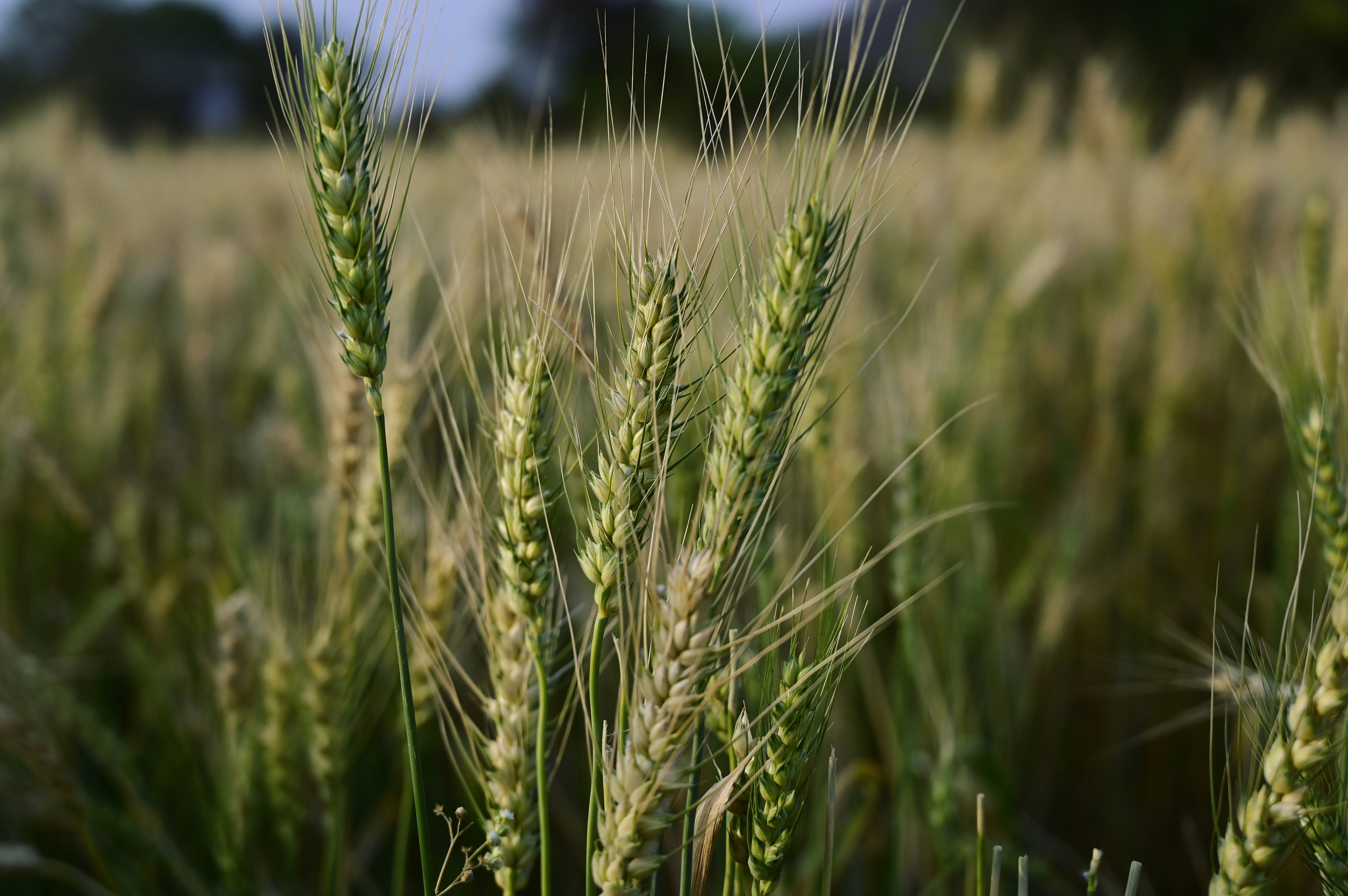 Photo by rrajputphotography