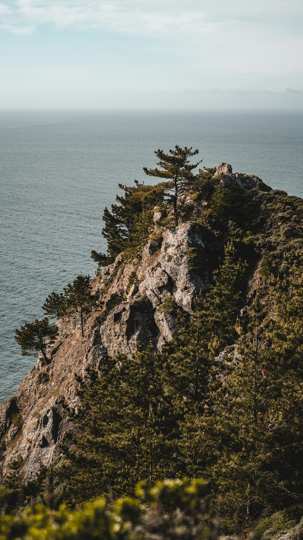 green trees on brown rock formation near sea during daytime