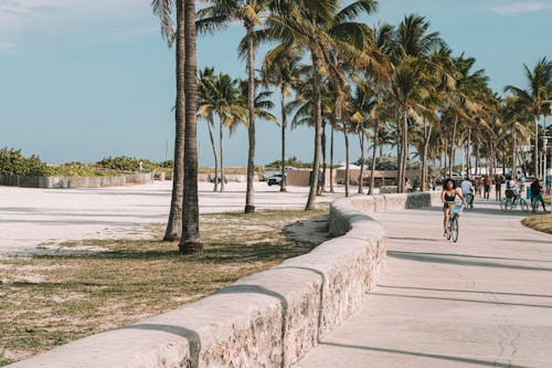 A sunny coastal path lined with palm trees and bordered by a low stone wall. People are enjoying outdoor activities like cycling and walking along the path. The atmosphere is lively with several individuals engaging in recreational activities, basking in the warm weather.