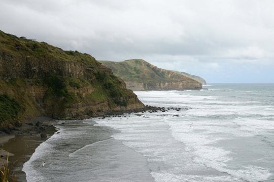 Muriwai Gannet Colony things to do in Muriwai