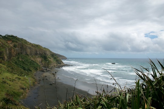 green grass near body of water under white clouds during daytime in Muriwai New Zealand