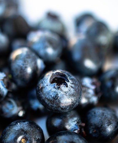 Close-up of ripe blueberries glistening on the bush under morning sunlight.