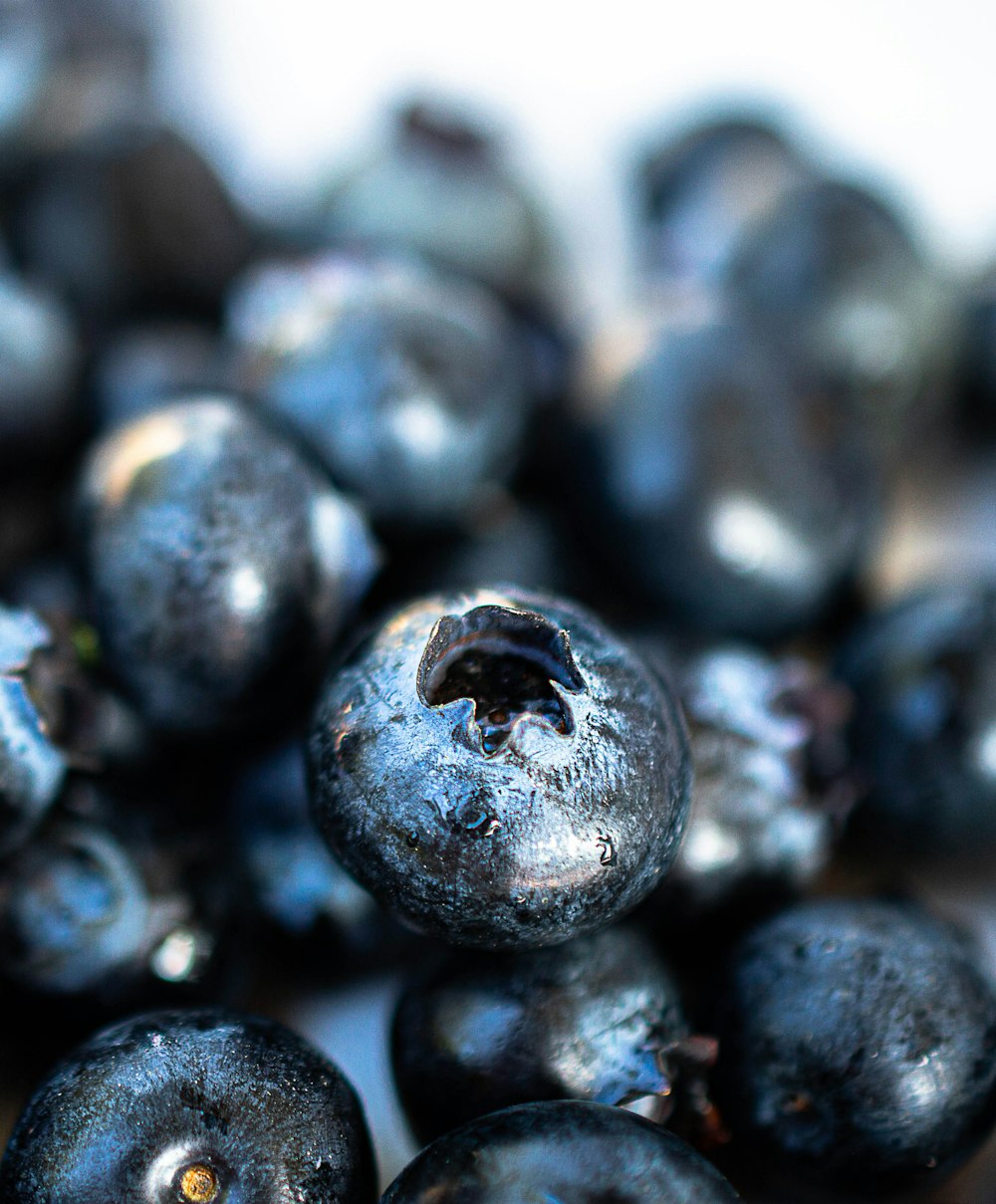 blue berries in close up photography