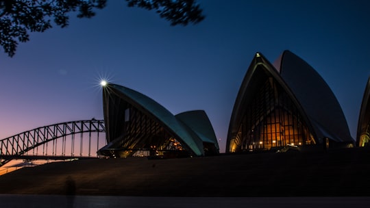 silhouette of bridge during night time in Royal Botanic Gardens Australia
