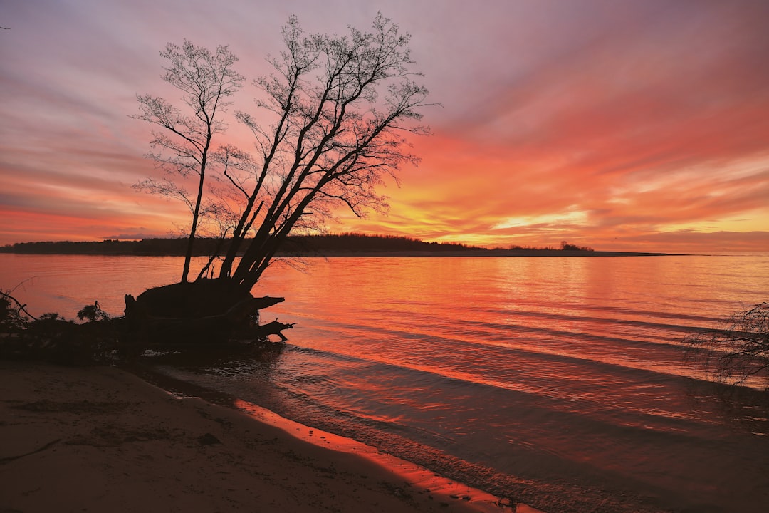 Beach photo spot Riga Klapkalnciems