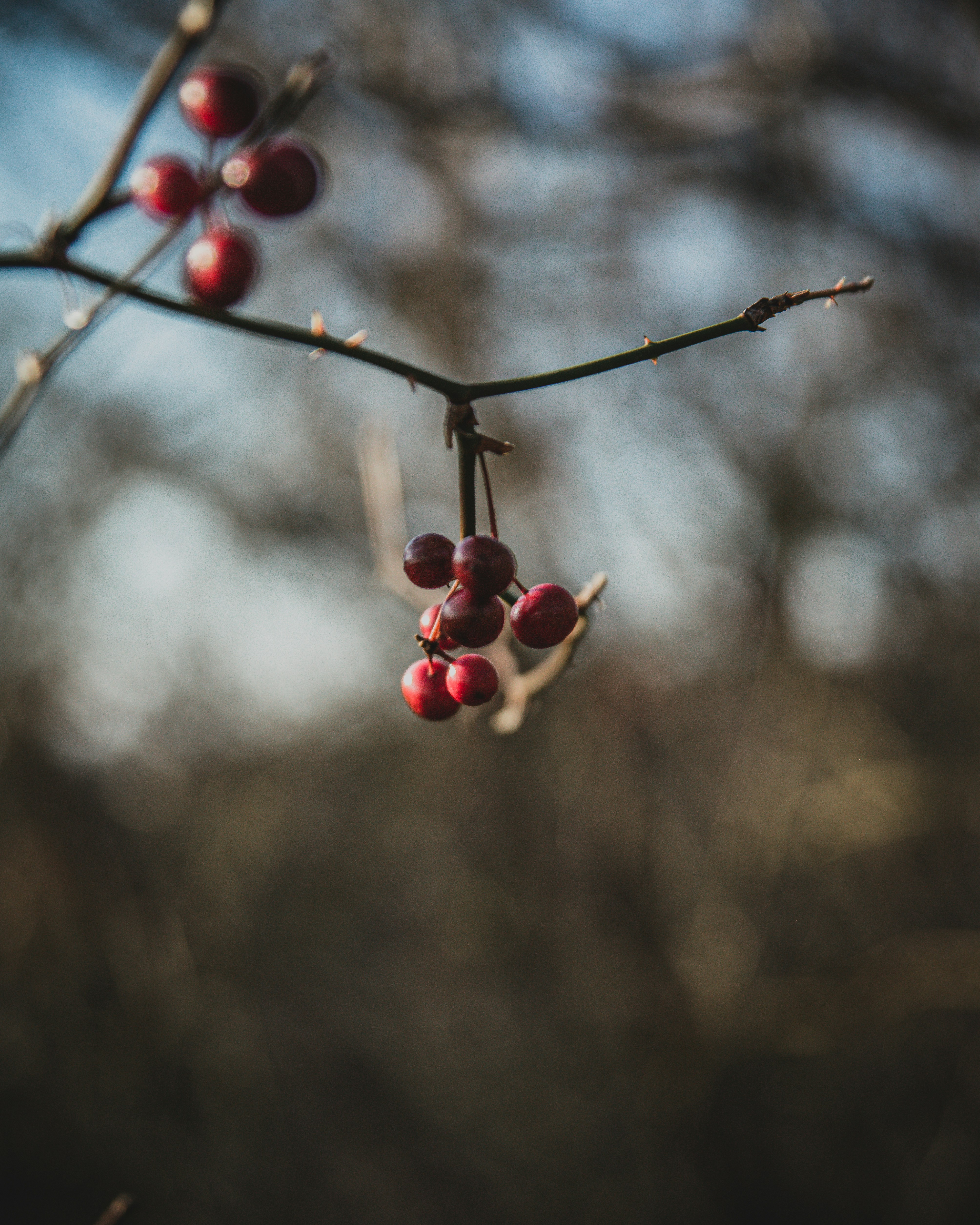 Photo by dentrushtin