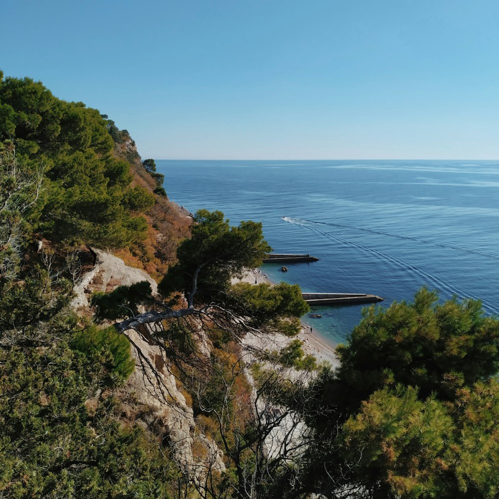 green trees on brown rocky mountain beside blue sea under blue sky during daytime