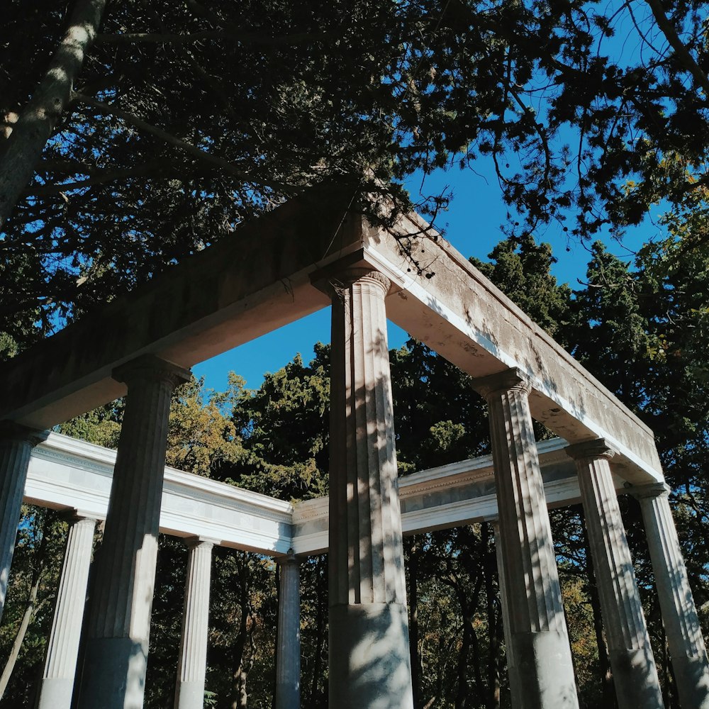 brown wooden frame with trees in the background