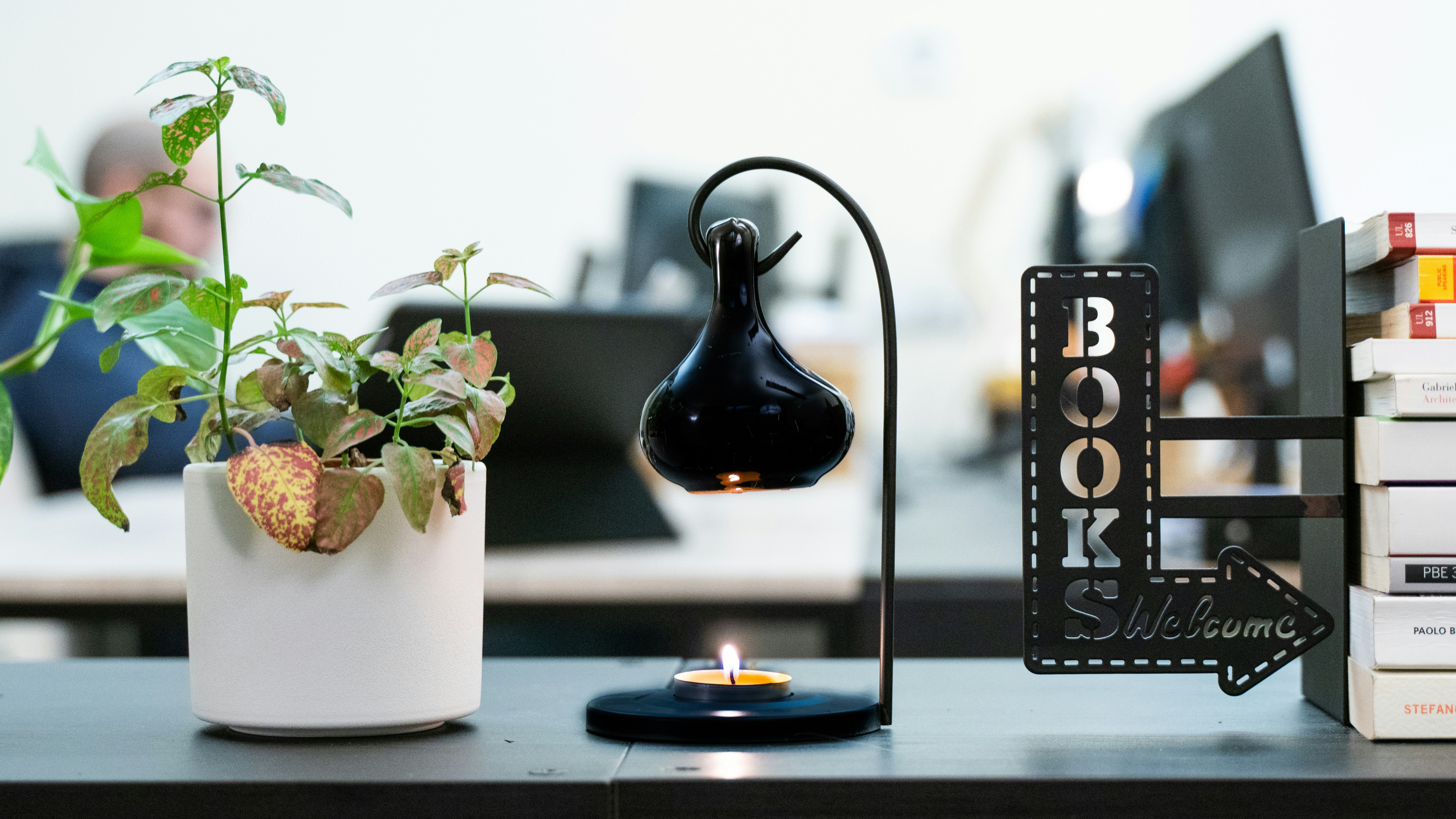 Holistic Wellness Essentials