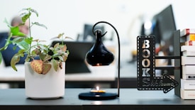 A cozy workspace features a white potted plant with broad, variegated leaves on a dark wooden surface. Next to the plant is a stylish black metal lamp in a modern design, with a small lit candle beneath it. To the right, a decorative bookend in the shape of an arrow displays the words 'BOOKS Welcome'. Several stacked books with colorful spines are neatly arranged beside the bookend. The blurred background suggests an office environment.
