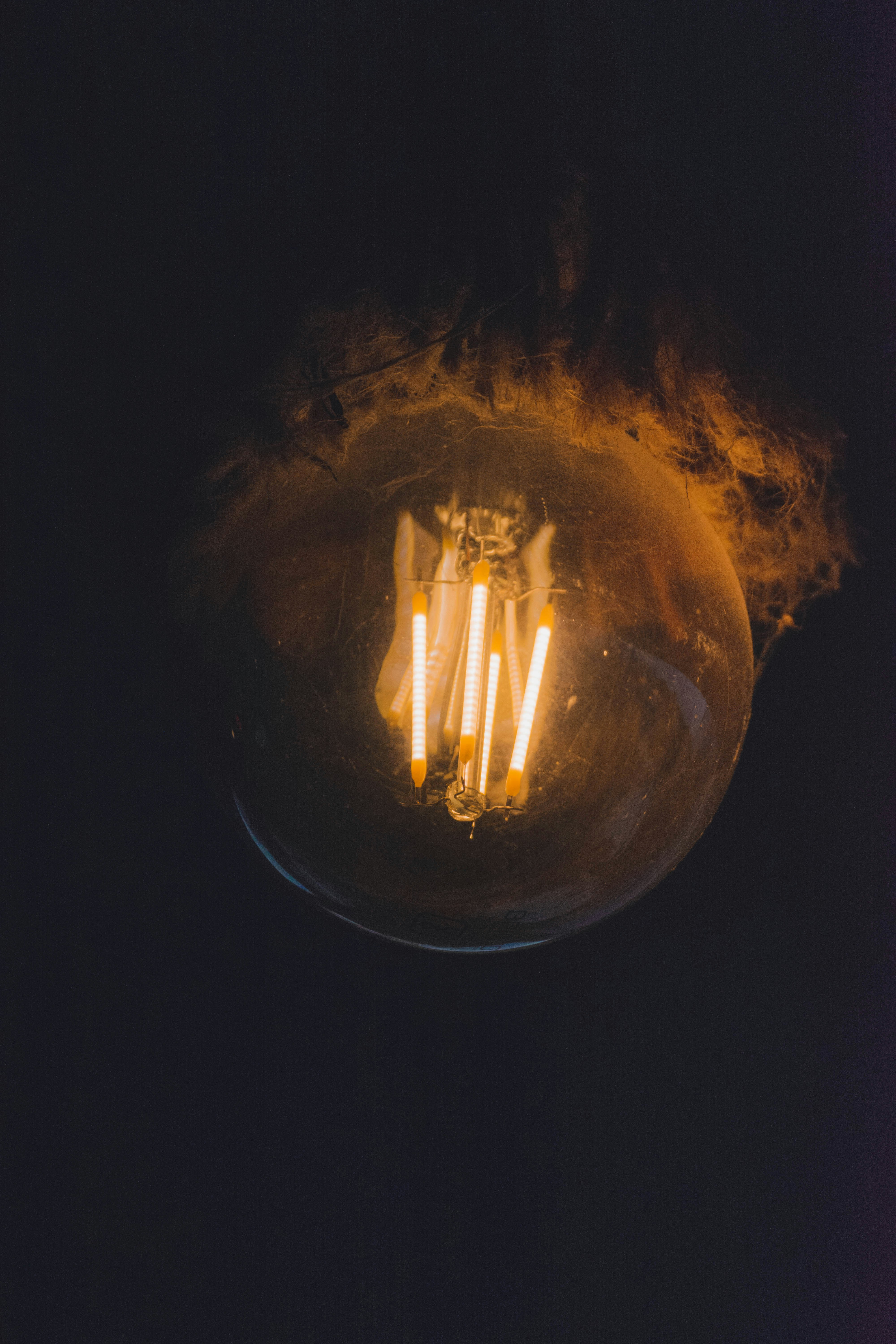 Photo by aditya_vs14