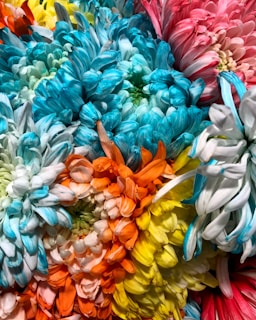 A stunning arrangement of chrysanthemums showcasing their diverse shapes.