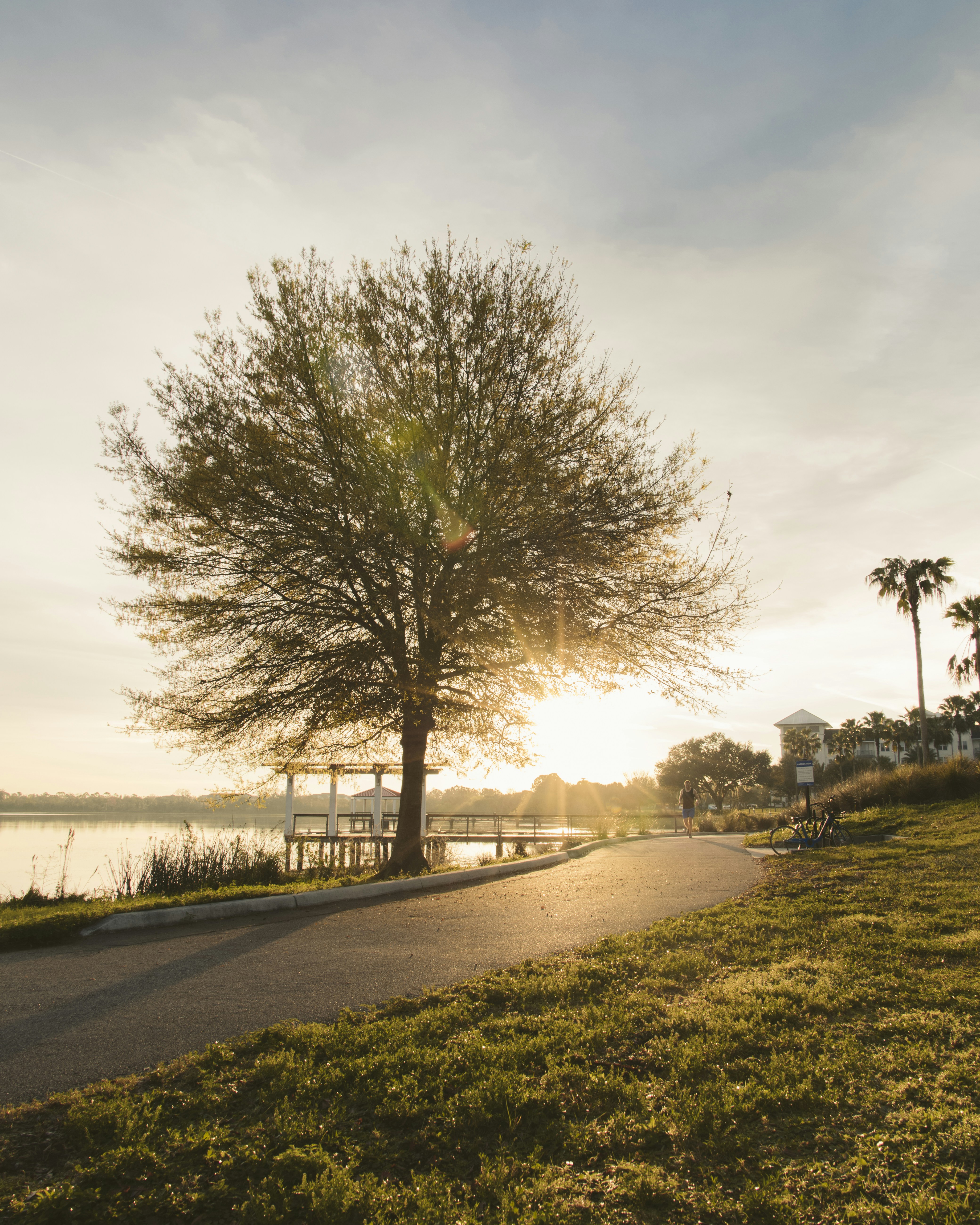 Photo by jphotomedia