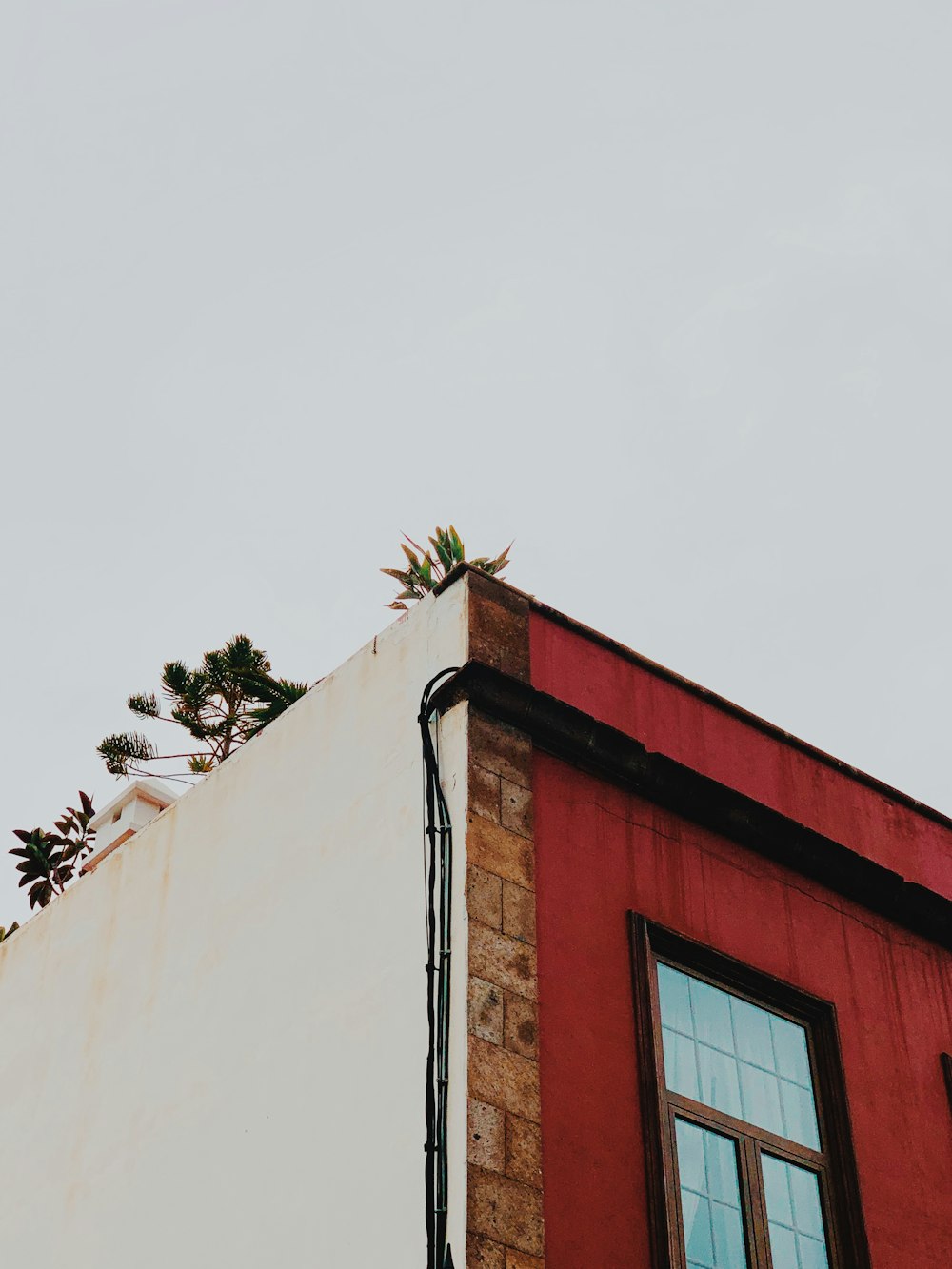 brown and white concrete building