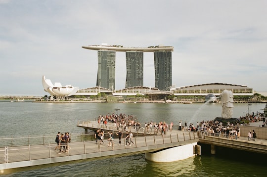 people in a park near a body of water in Merlion Park Singapore