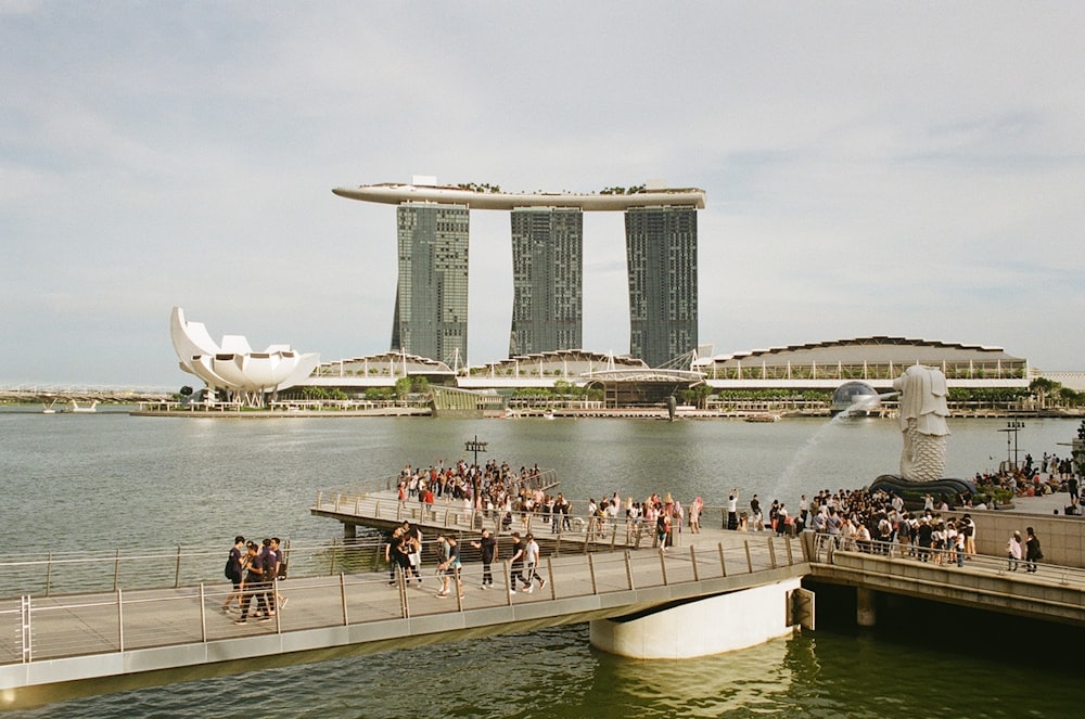 people in a park near a body of water