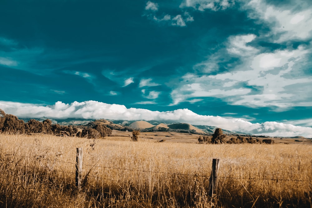 brown grass field under blue sky and white clouds during daytime