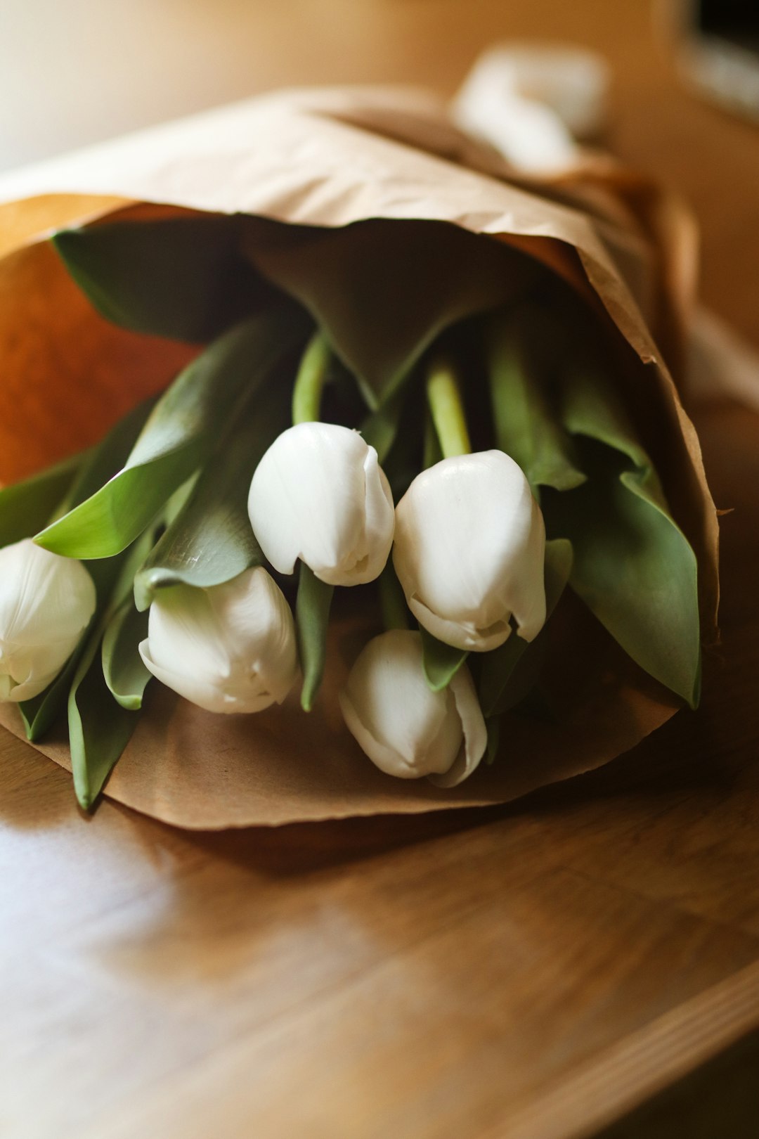white tulips on brown textile