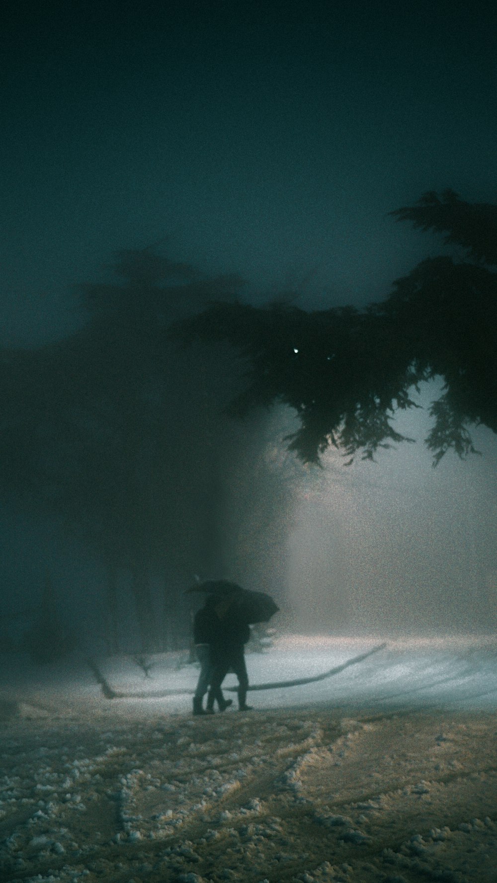 person standing on snow covered ground during night time
