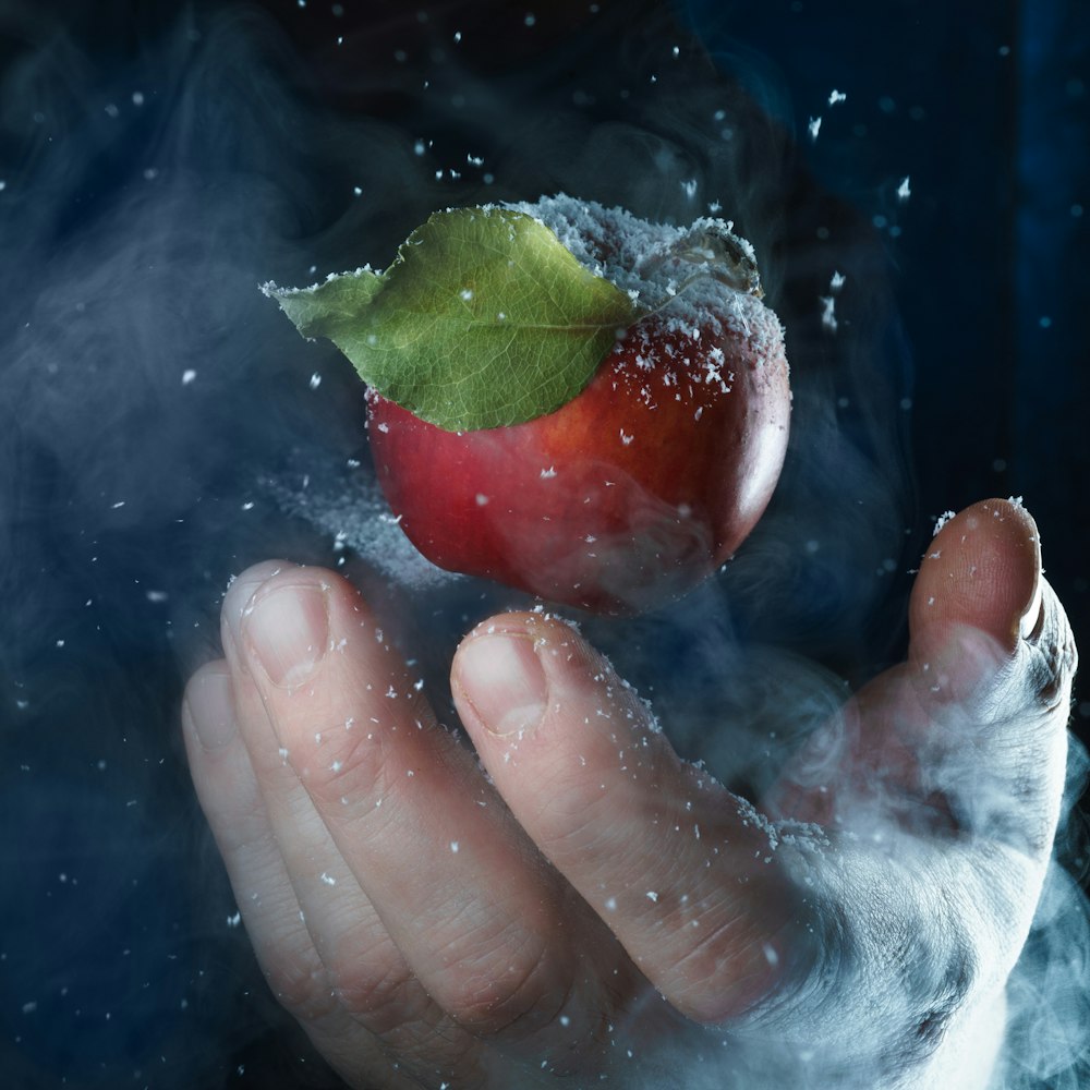 person holding red apple with water droplets