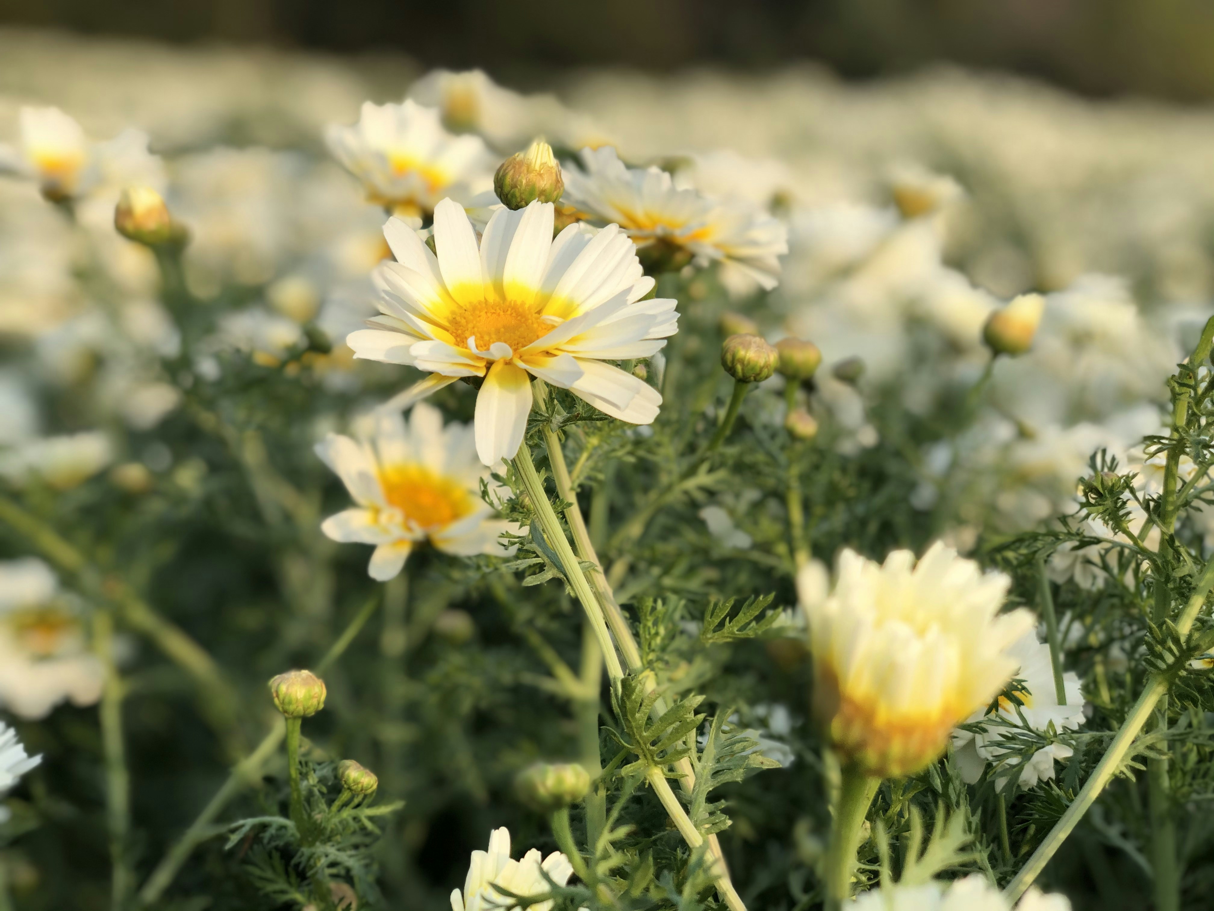 Photo by rrajputphotography